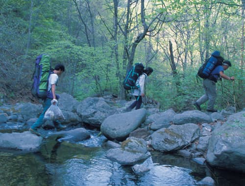 개인산
